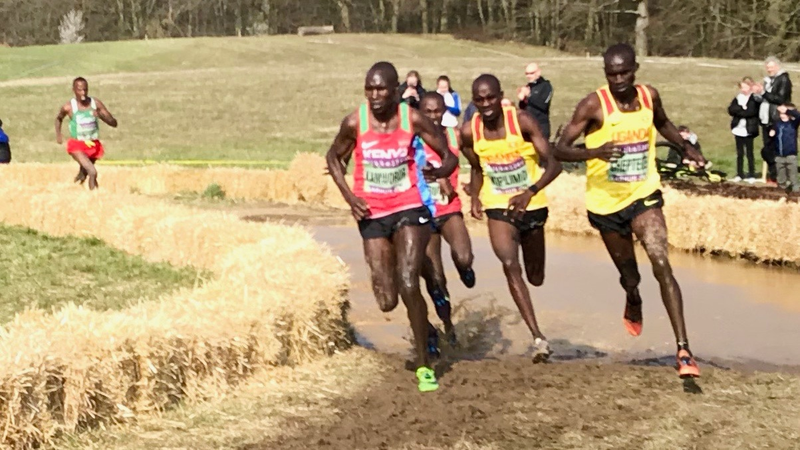 Illustration for article titled Real Cross Country Delivers Real Redemption